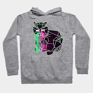 The Amazing Technicolor Robo Cat Hoodie